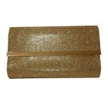 Gold Shimmery Clutch