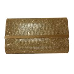 Gold Shimmery Clutch