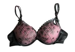 Gorgeous Embroidered Push Up Bra